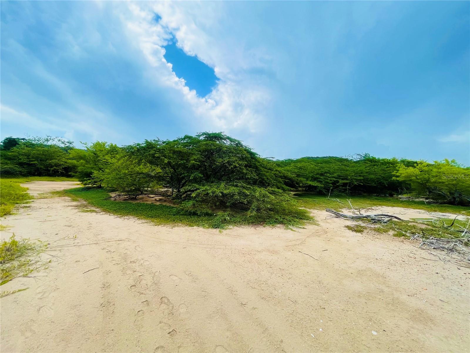 El Pitirre Property Photo 19