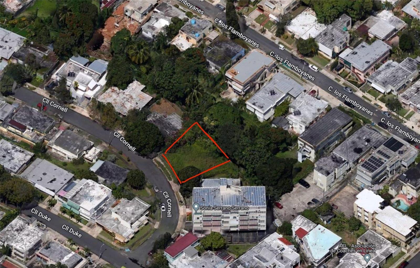 M20 Cornell Street Property Photo 2