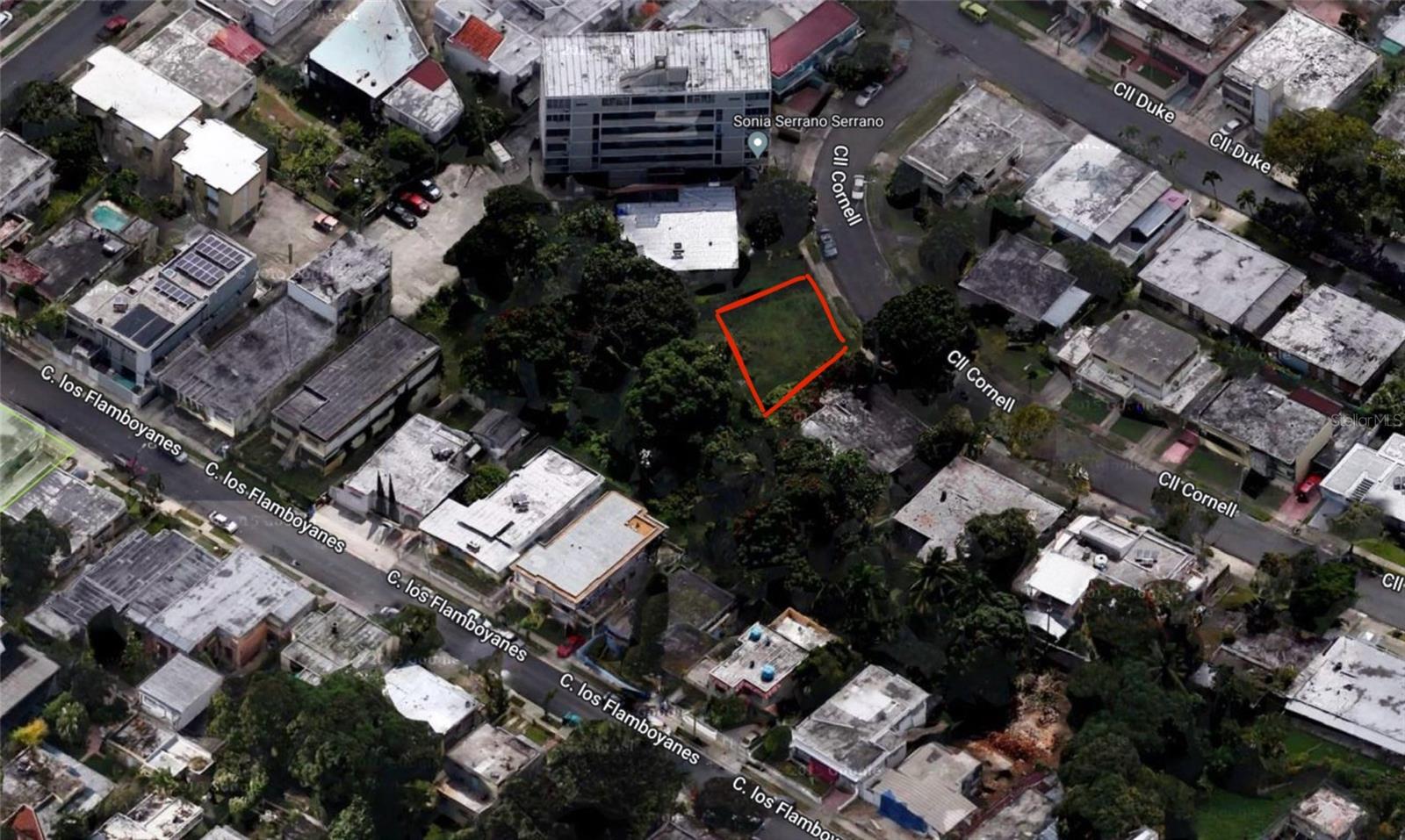M20 Cornell Street Property Photo 6