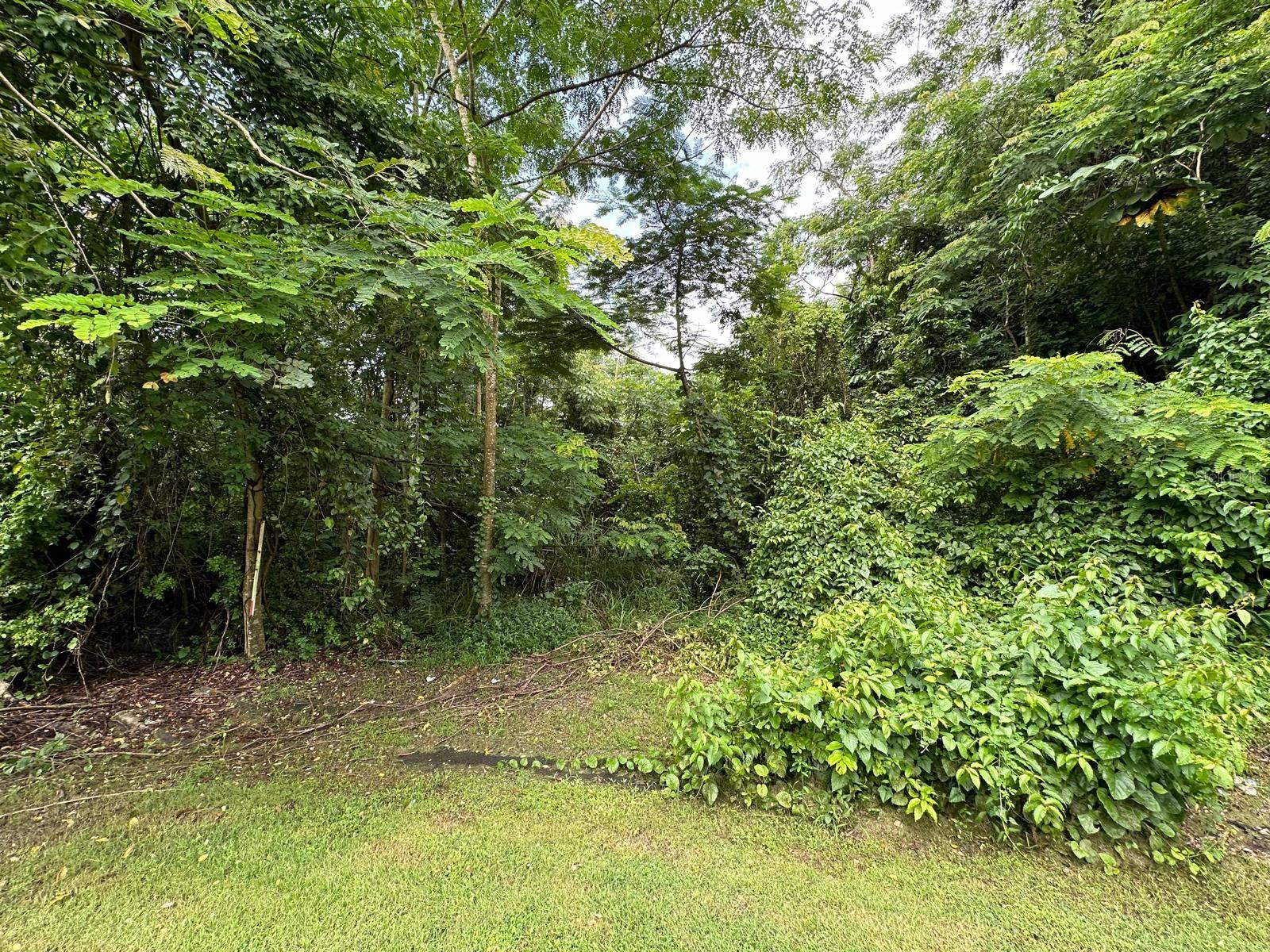 Barrio Rio Carr 834 Km 9.3 #18.323638 Property Photo 1