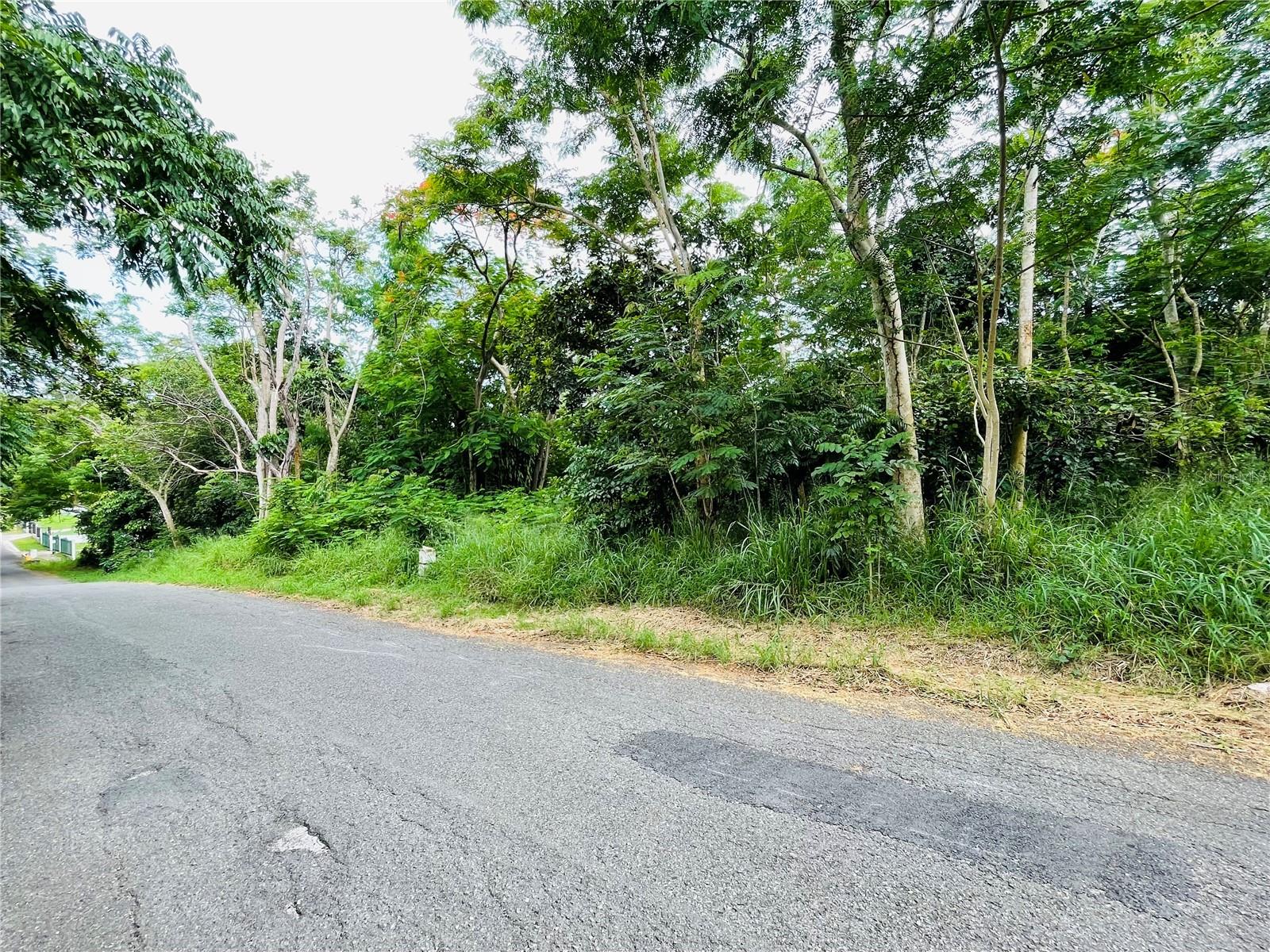 Carr 100 Km 5.2 Bo. Miradero Property Photo 1