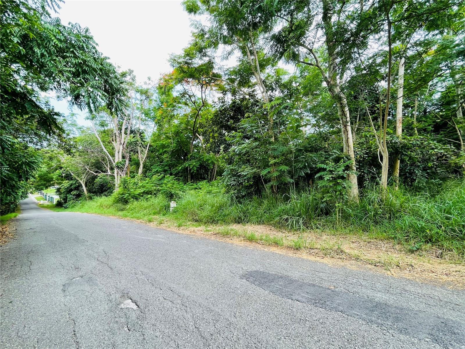 Carr 100 Km 5.2 Bo. Miradero Property Photo 2