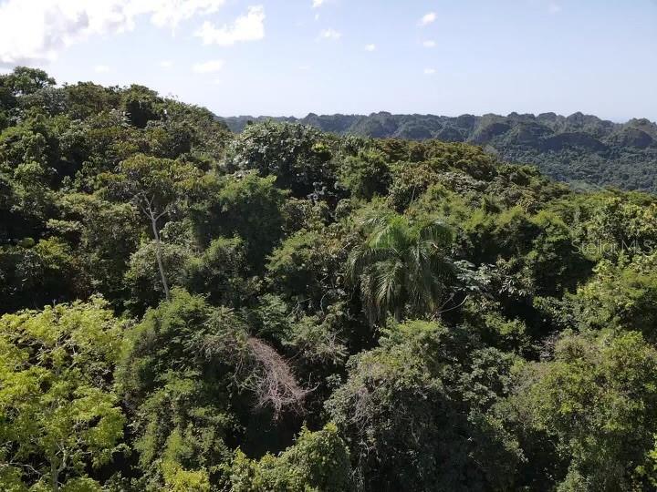 Road Pr-140 Km 34.2 Barrio Don Alonso Property Photo 6