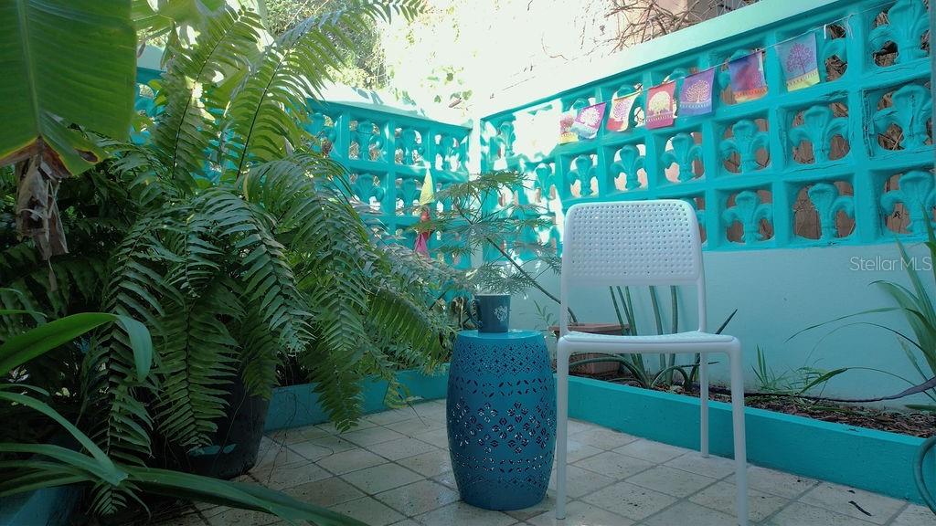 220 Calle Prudencio Quiñones Property Photo 34