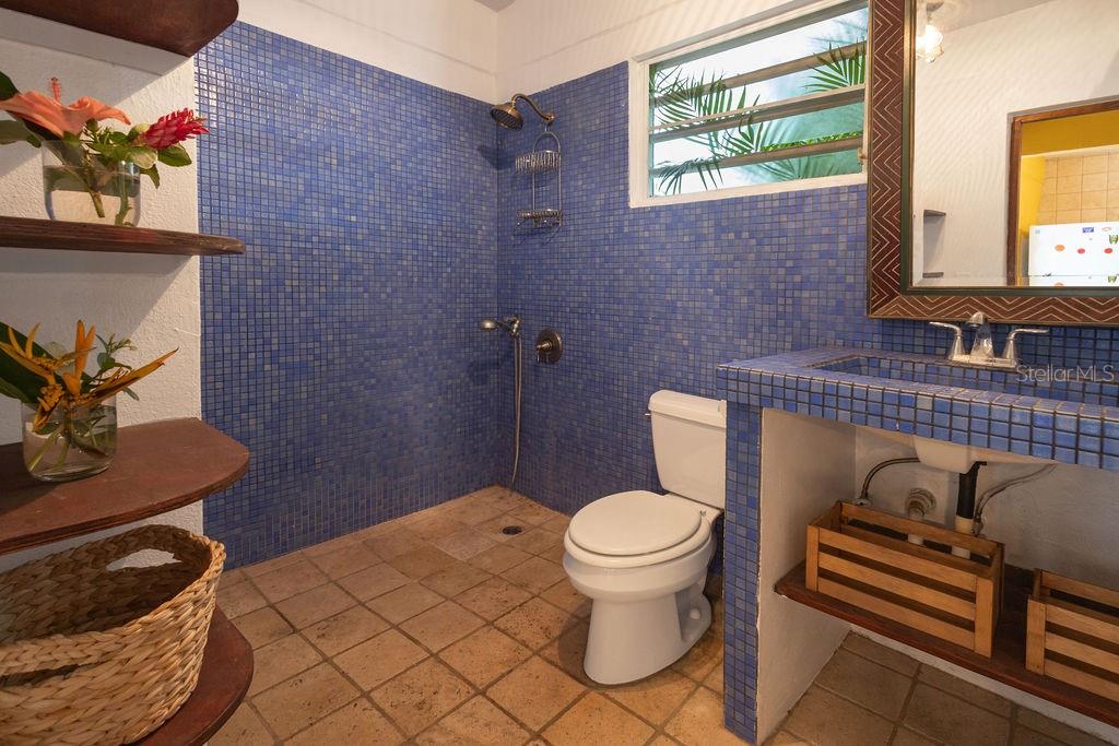 220 Calle Prudencio Quiñones Property Photo 35