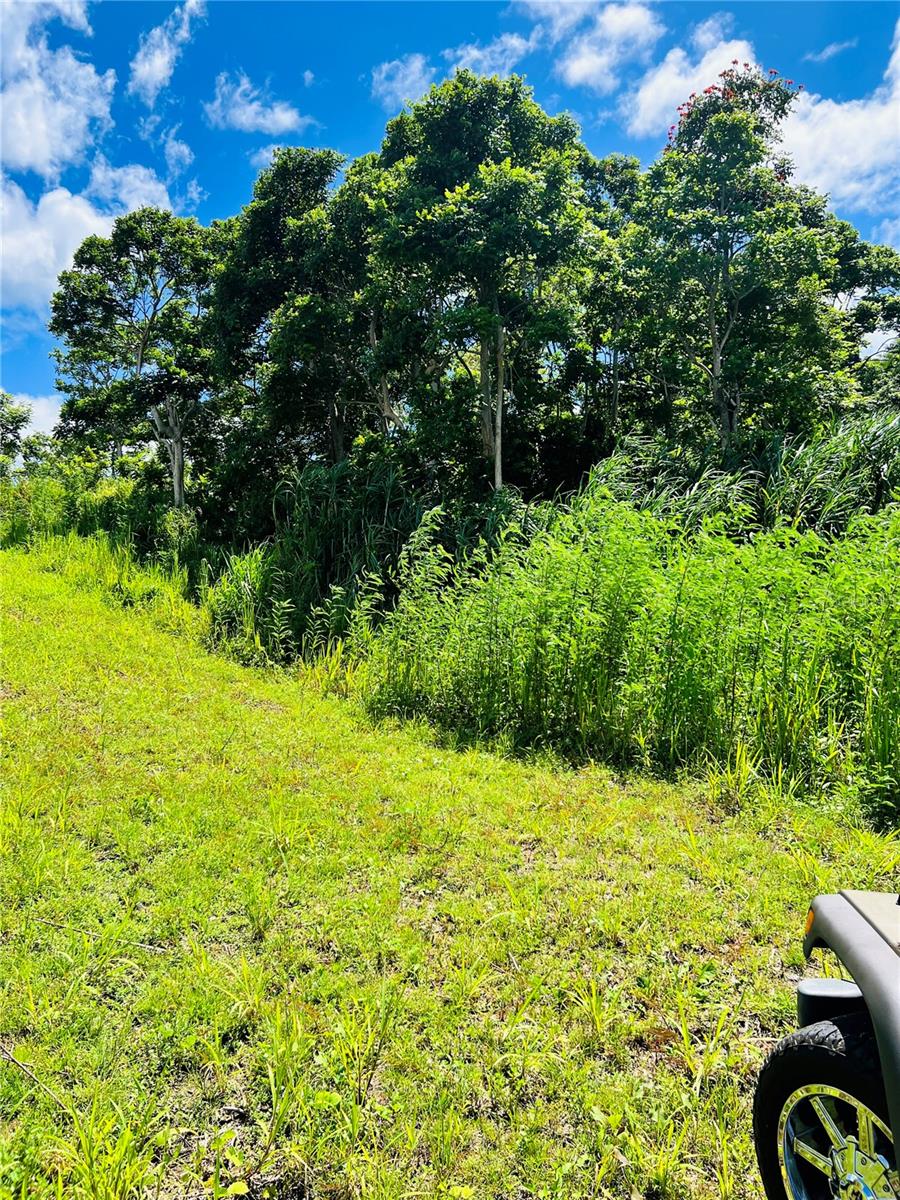 857 Carretera Property Photo 2