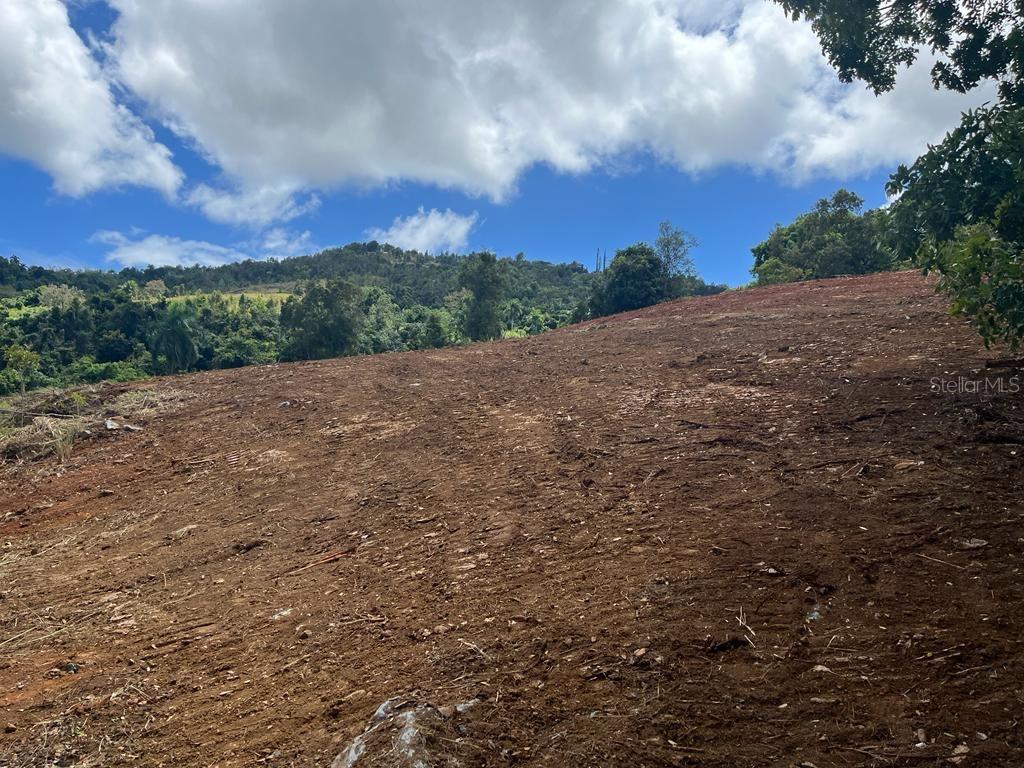 Bo. Saco, Rio Abajo Sr 975 K.m. 2.5 Lote #4 Property Photo