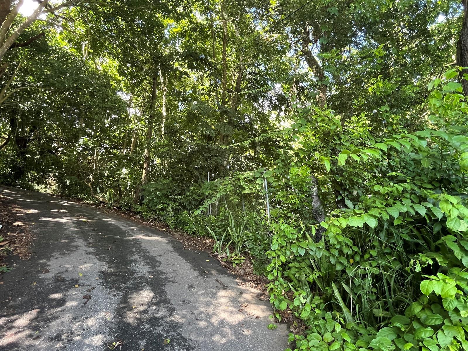 Carr 347 Km 1.6 Bo Sabana Grande Abajo Property Photo 2