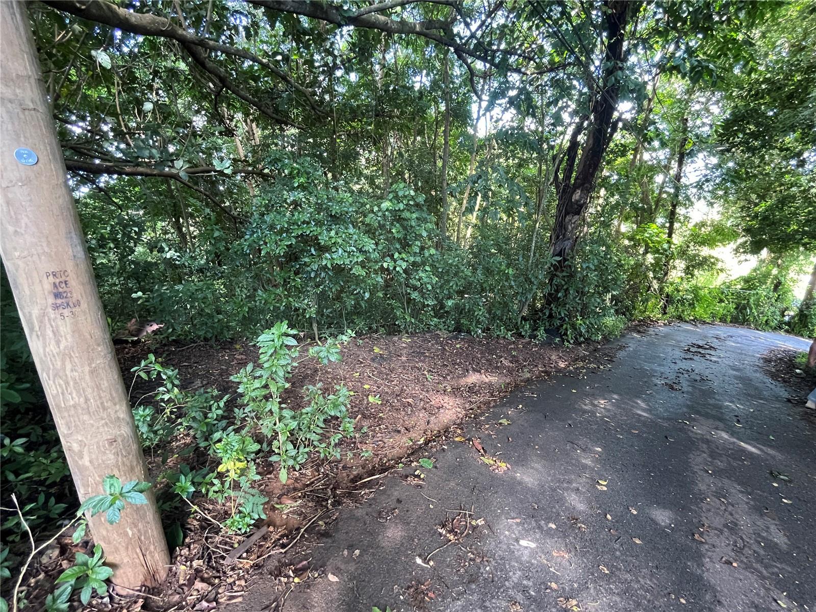 Carr 347 Km 1.6 Bo Sabana Grande Abajo Property Photo 3