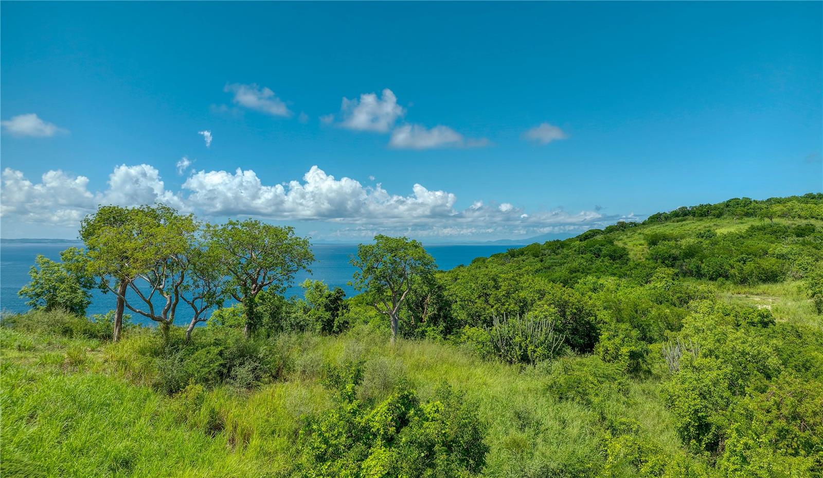 Pr 998 Km 3.0 Playa Sardinas Property Photo 10