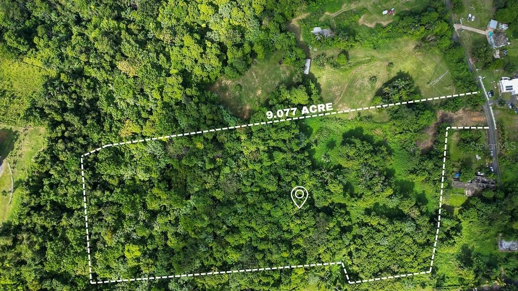 Carr. 647 Km 7.9 La Candelaria Property Photo 1