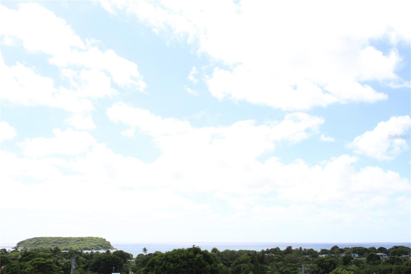 236 Acacia Property Photo 12