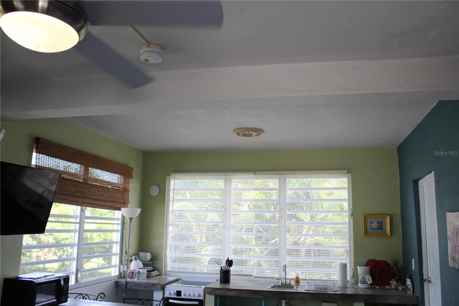 236 Acacia Property Photo 47