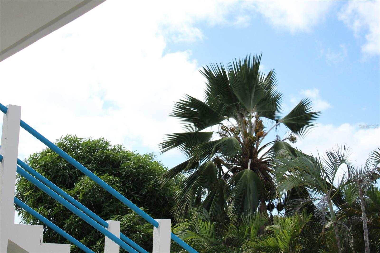236 Acacia Property Photo 53