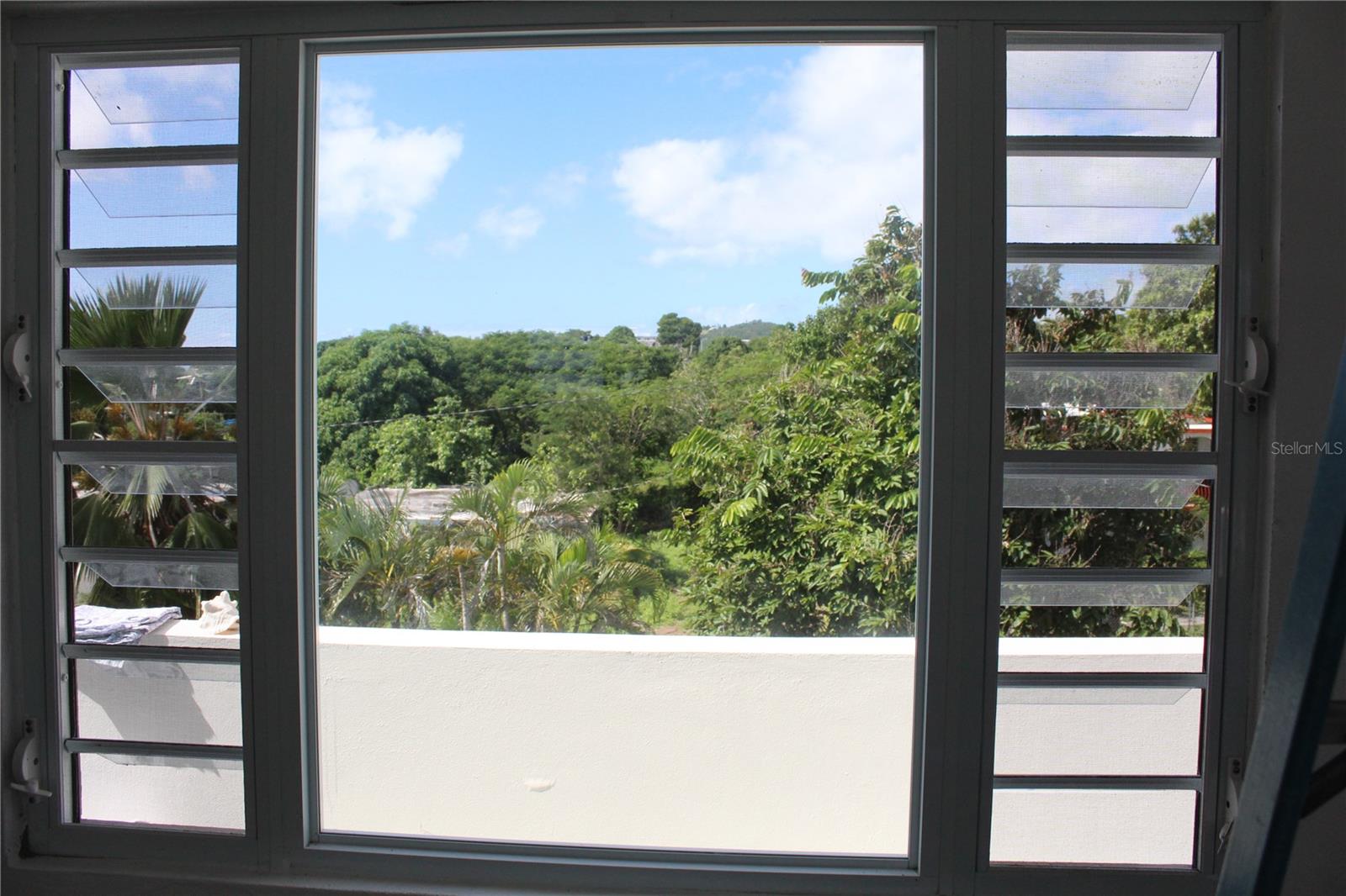 236 Acacia Property Photo 57
