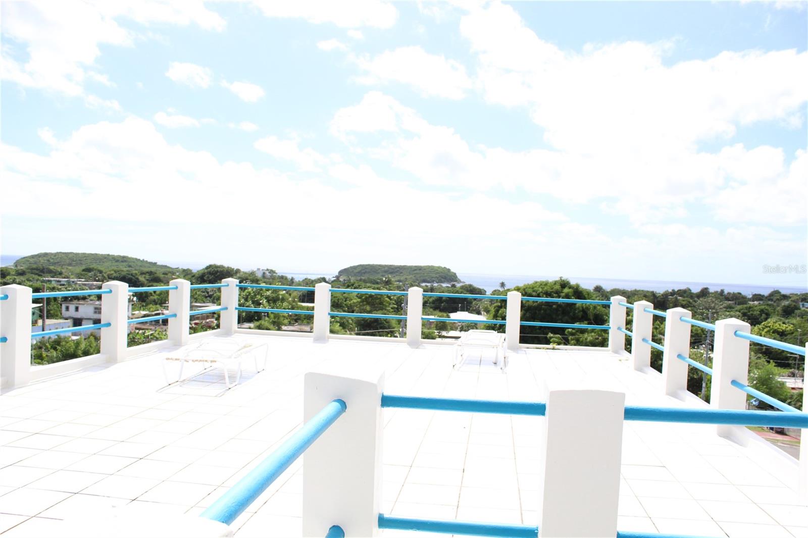 236 Acacia Property Photo 68
