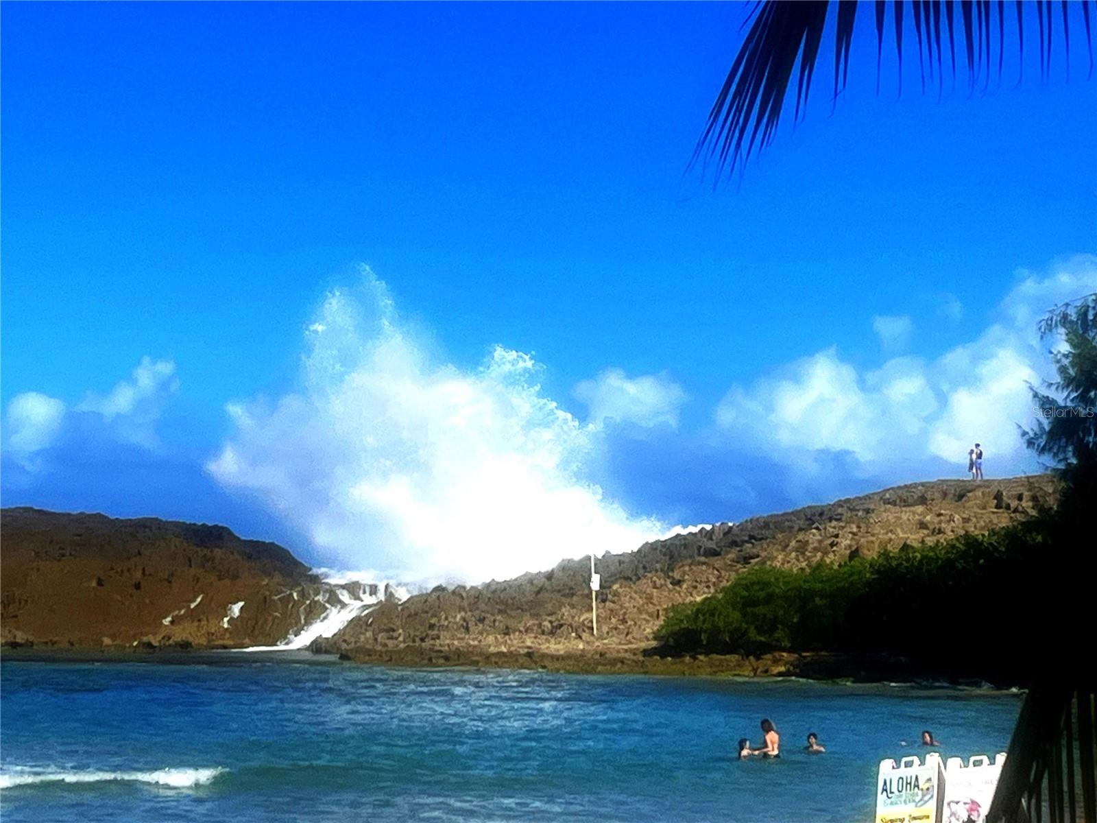 Km1.9 Pr4466 #c Property Photo 26