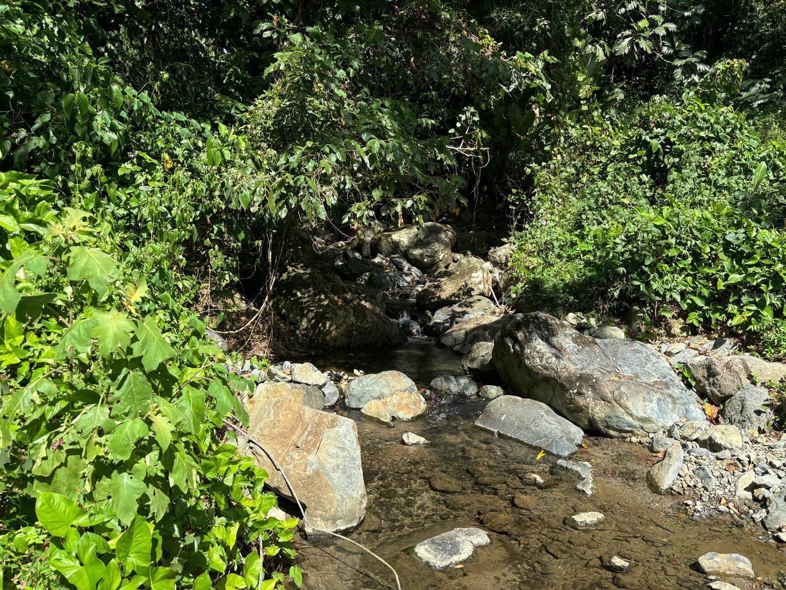 31 Int 950 Km.hm 9.7 Bo Rio Blanco Property Photo 7