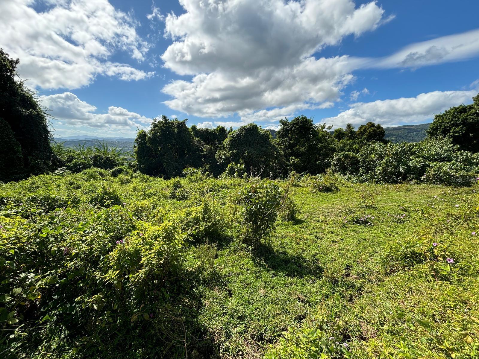 31 Int 950 Km.hm 9.7 Bo Rio Blanco Property Photo 8