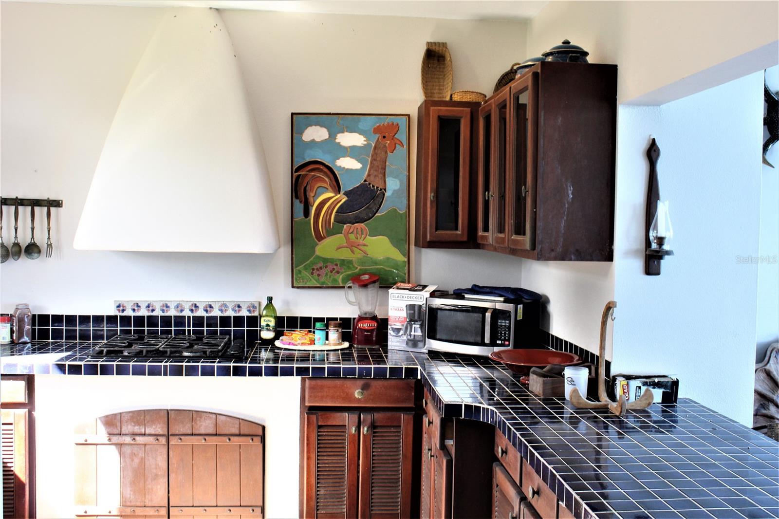 316 El Maroc Property Photo 29