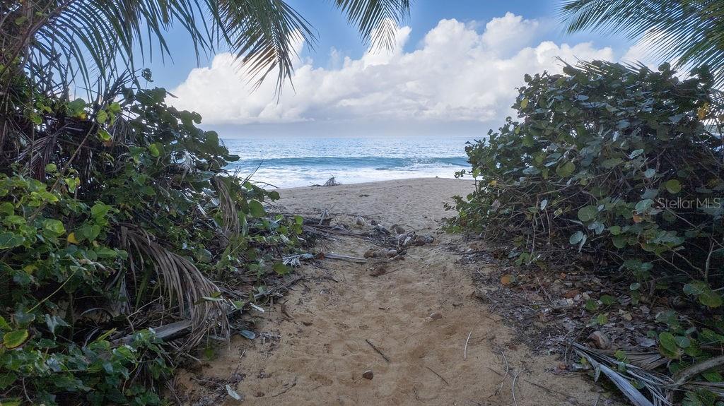A-9 The Sands Property Photo 54