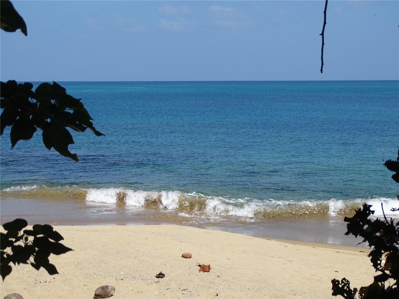 A-9 The Sands Property Photo 55