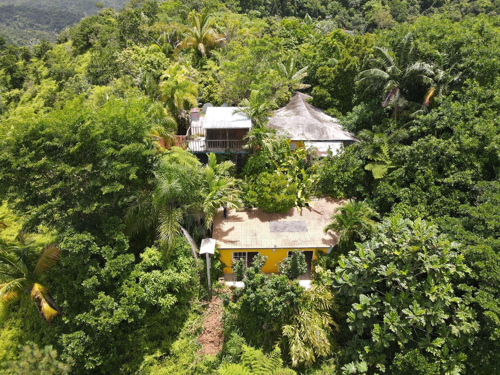 Pr-120 Kmhm 19.1 Maricao Afuera Property Photo 2