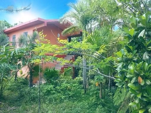 Pr-120 Kmhm 19.1 Maricao Afuera Property Photo 6