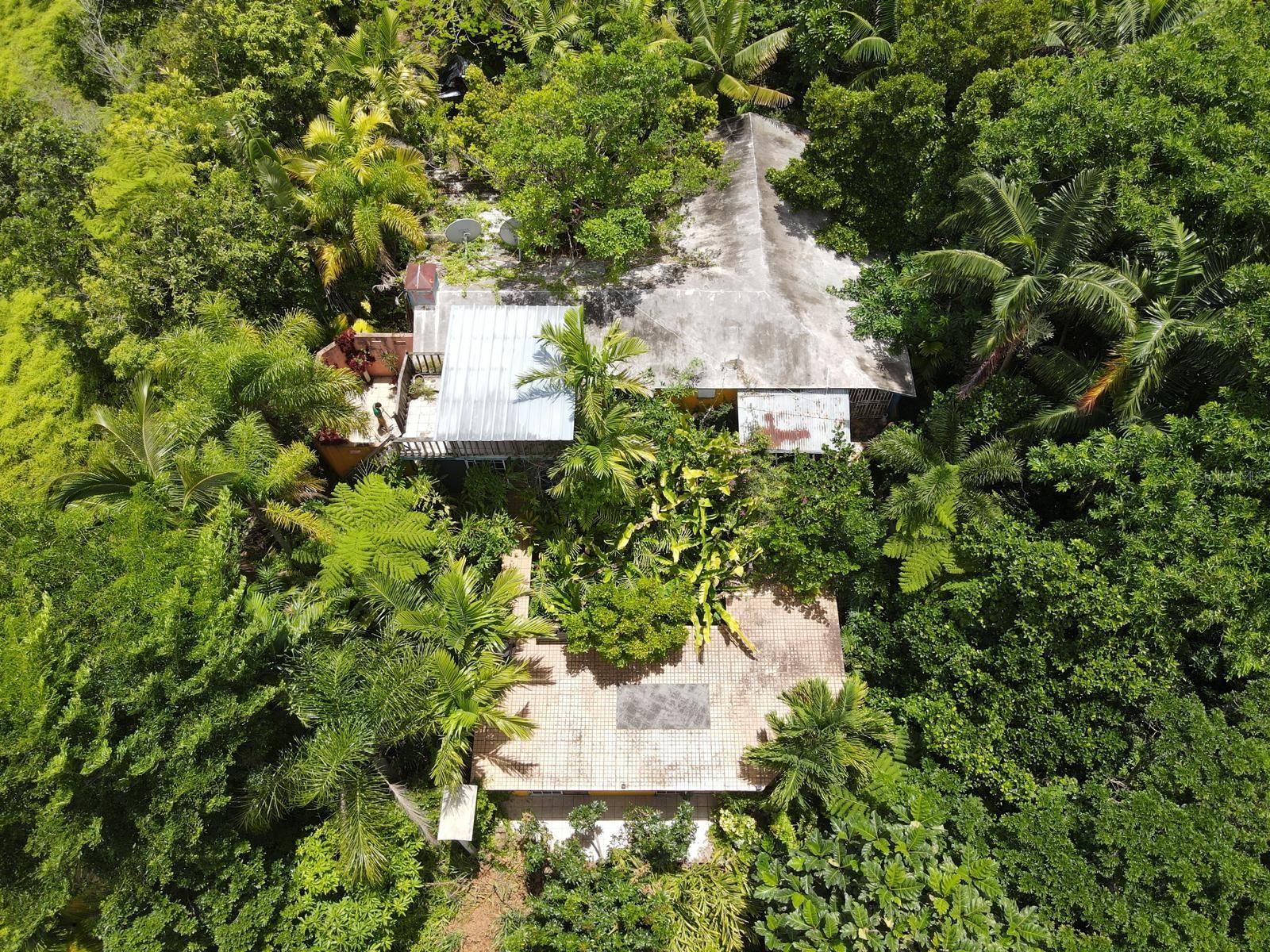 Pr-120 Kmhm 19.1 Maricao Afuera Property Photo 25