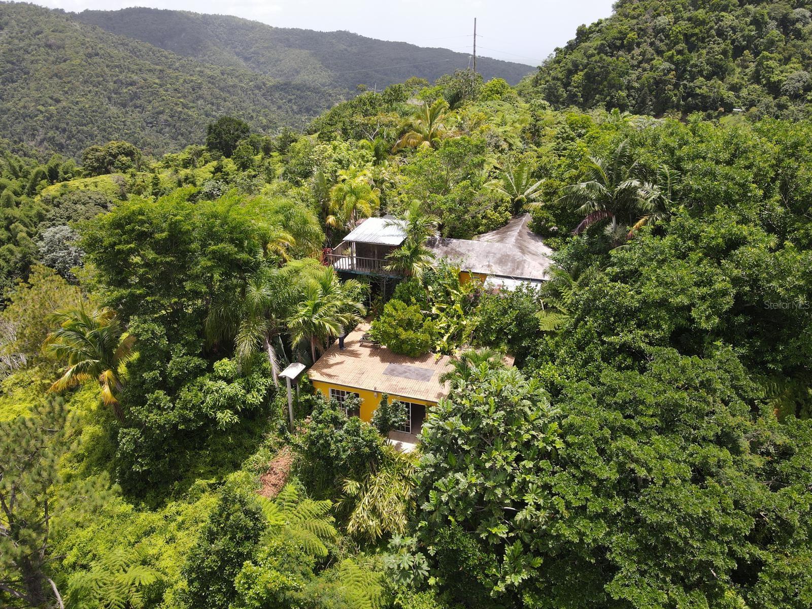 Pr-120 Kmhm 19.1 Maricao Afuera Property Photo 26