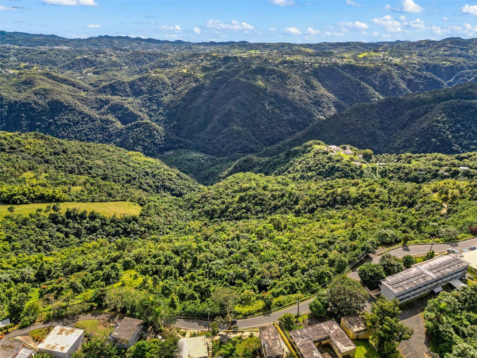 Carr. 156 Km 20.1 Interior Bo. Honduras Property Photo 3