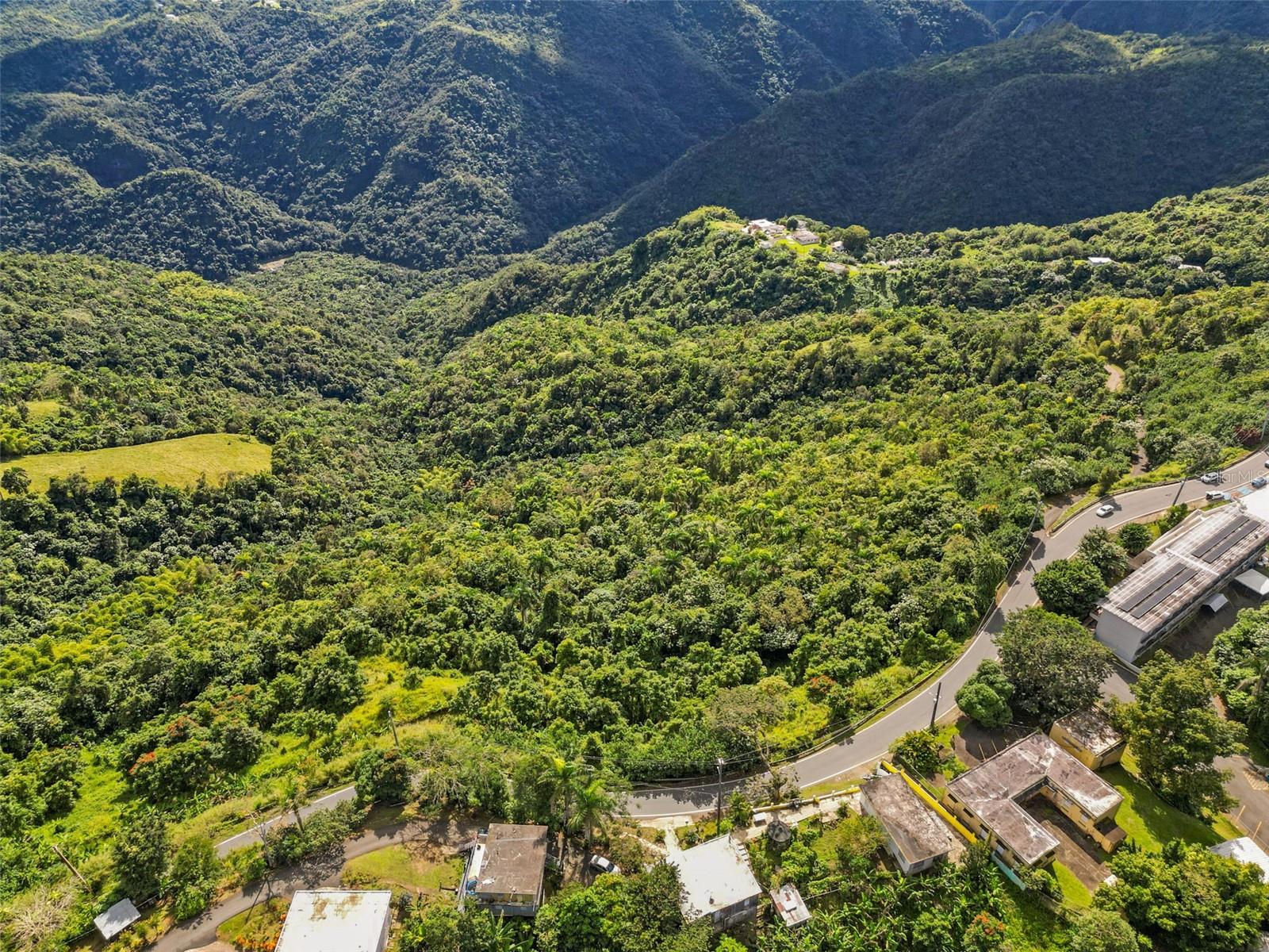 Carr. 156 Km 20.1 Interior Bo. Honduras Property Photo 4