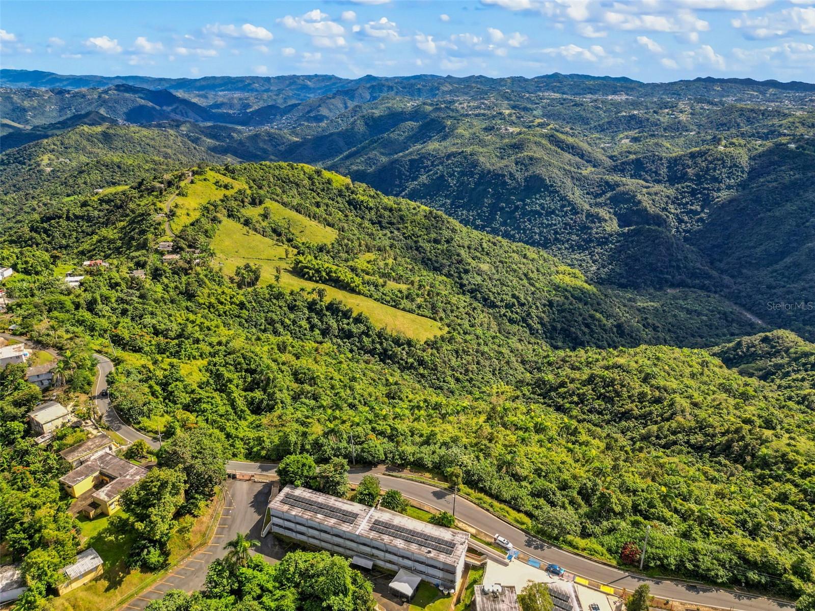 Carr. 156 Km 20.1 Interior Bo. Honduras Property Photo 6