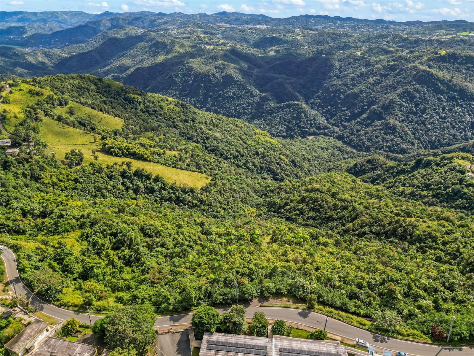 Carr. 156 Km 20.1 Interior Bo. Honduras Property Photo 7