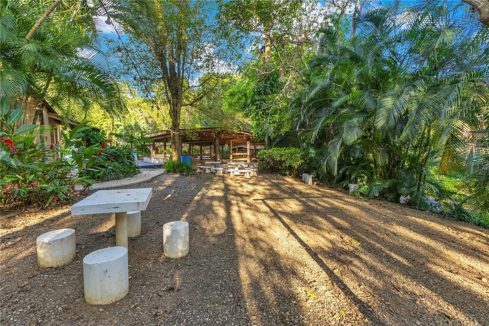 132 Quebrada Ceiba Property Photo 11
