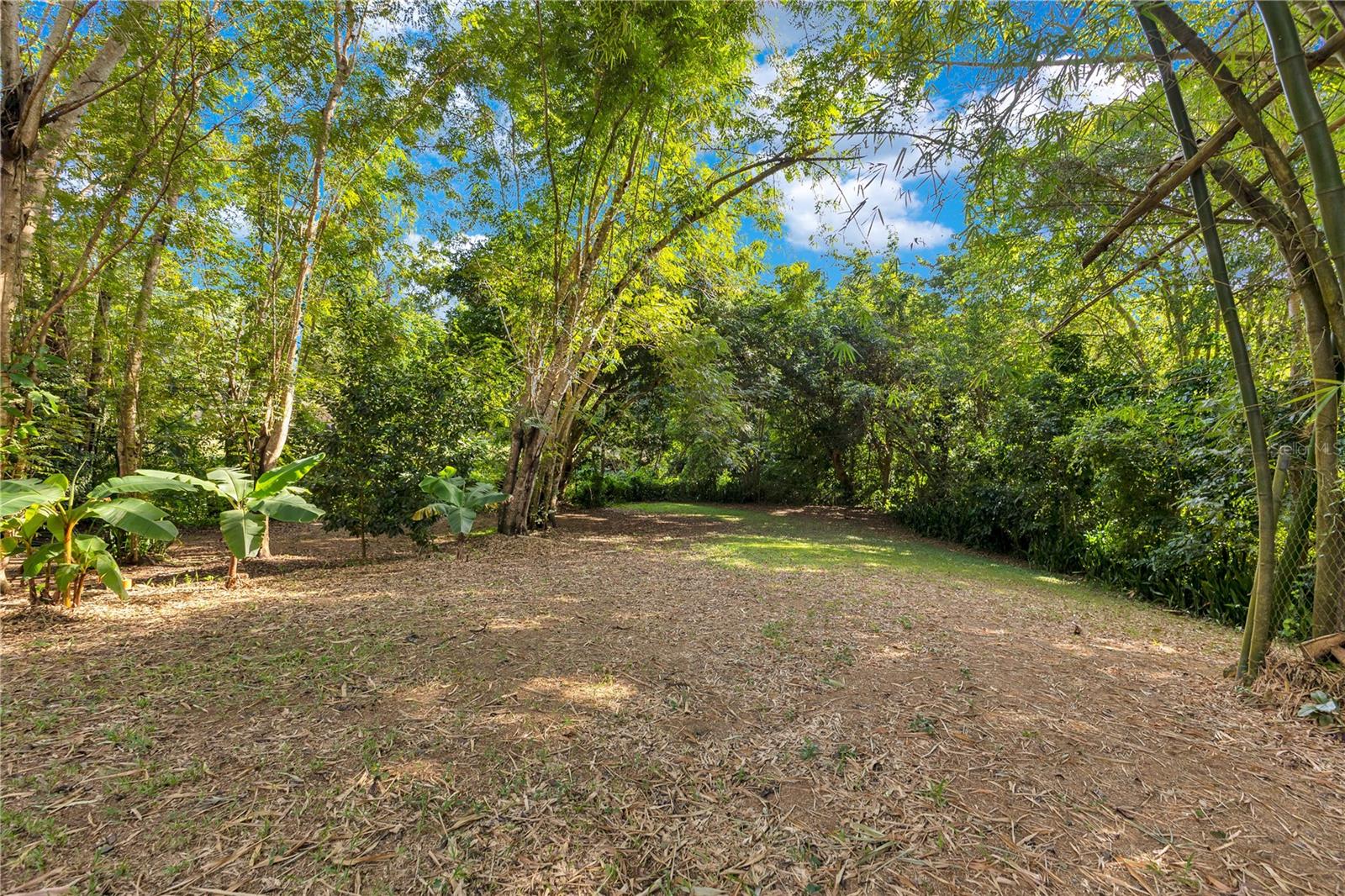 132 Quebrada Ceiba Property Photo 52