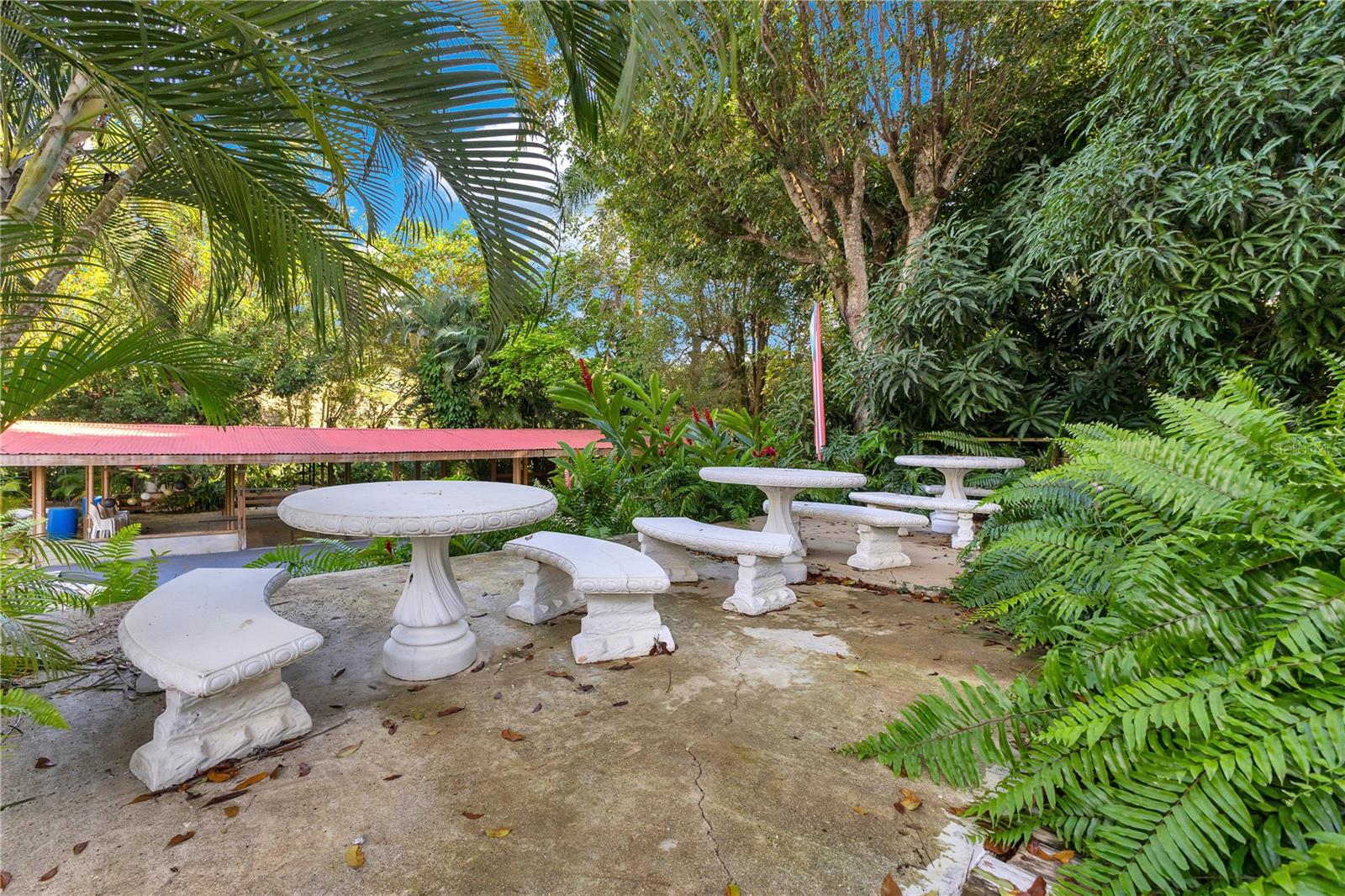 132 Quebrada Ceiba Property Photo 61