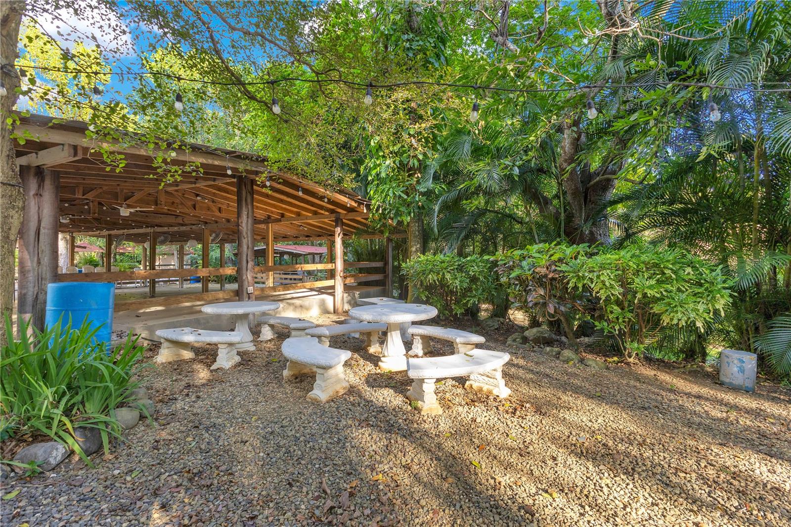 132 Quebrada Ceiba Property Photo 65