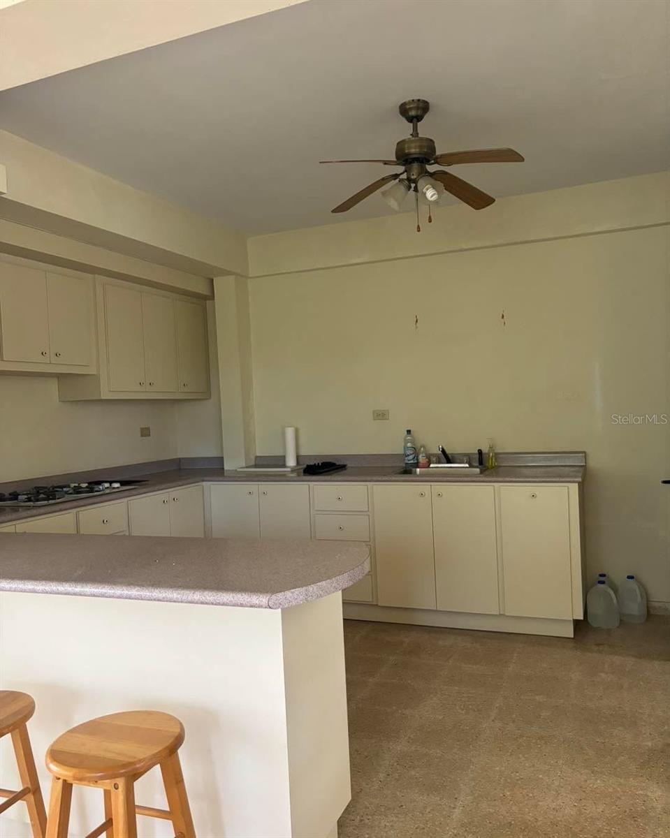 Road 493 Bo: Hato Abajo Property Photo 7