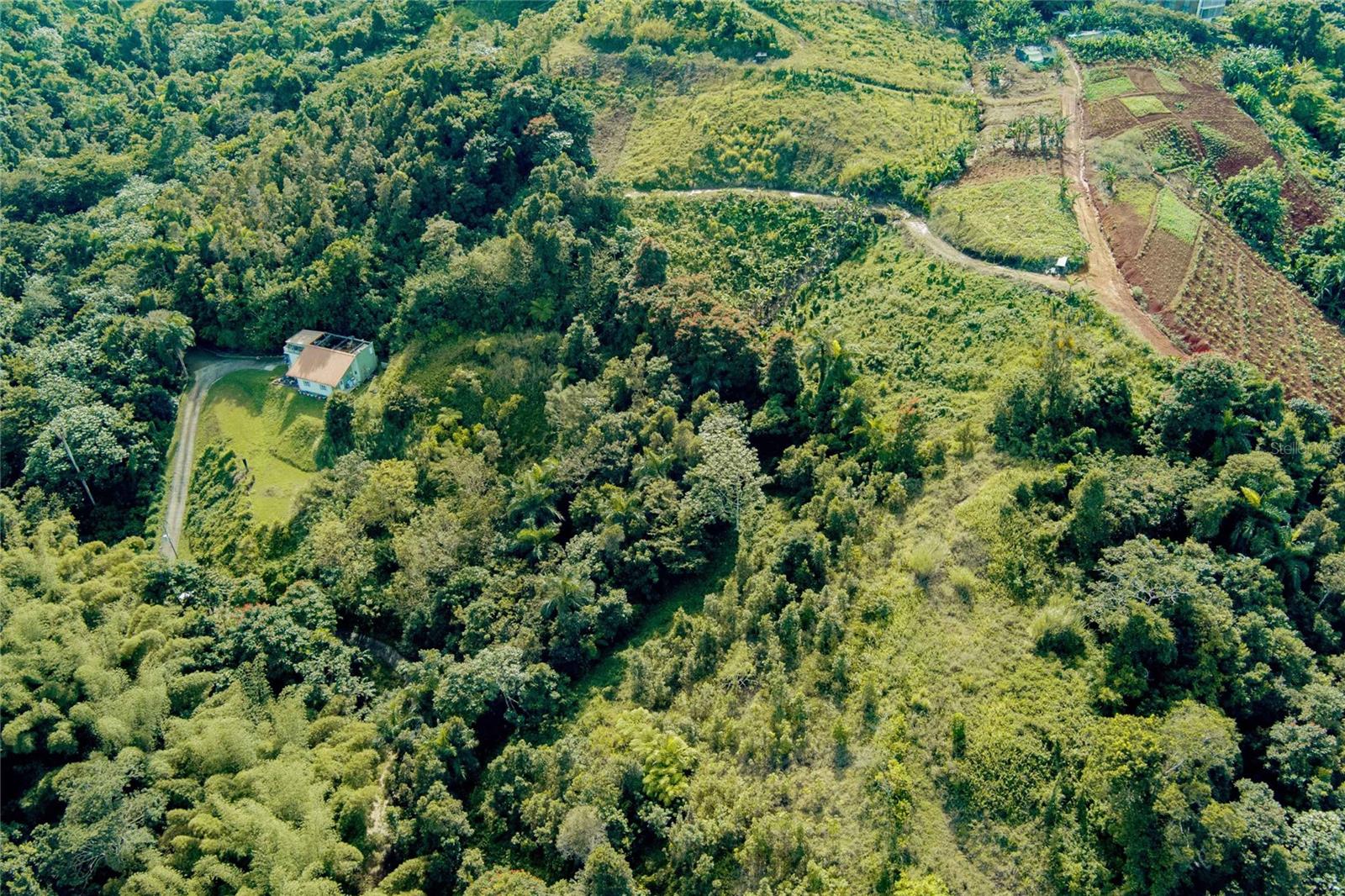 Km6.2 Int Sumidero Ward, Pr 172 Property Photo