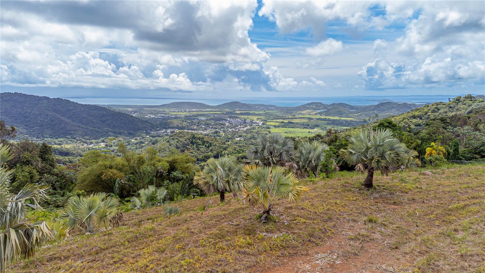 Naranjo Ward Int. Pr 984 Property Photo 5