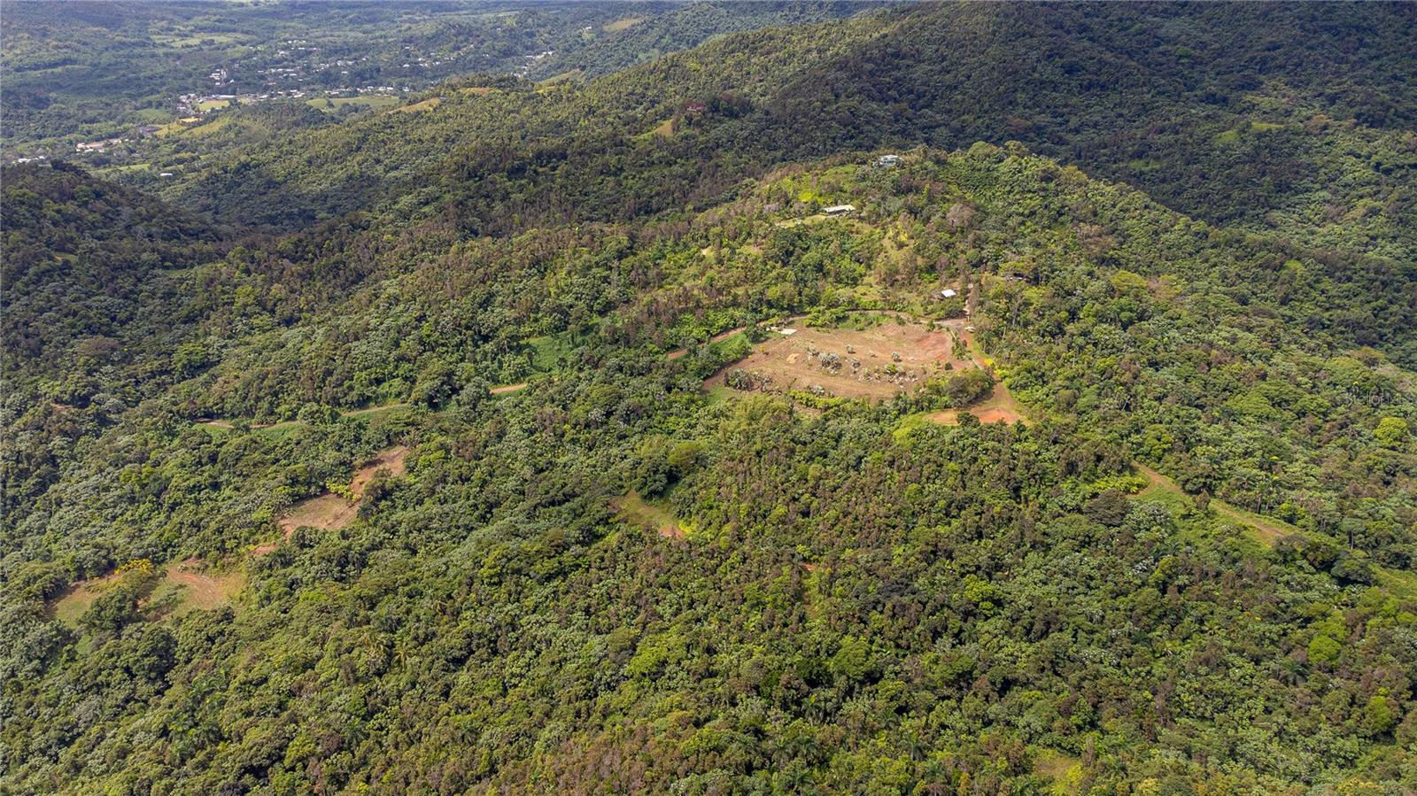 Naranjo Ward Int. Pr 984 Property Photo 15