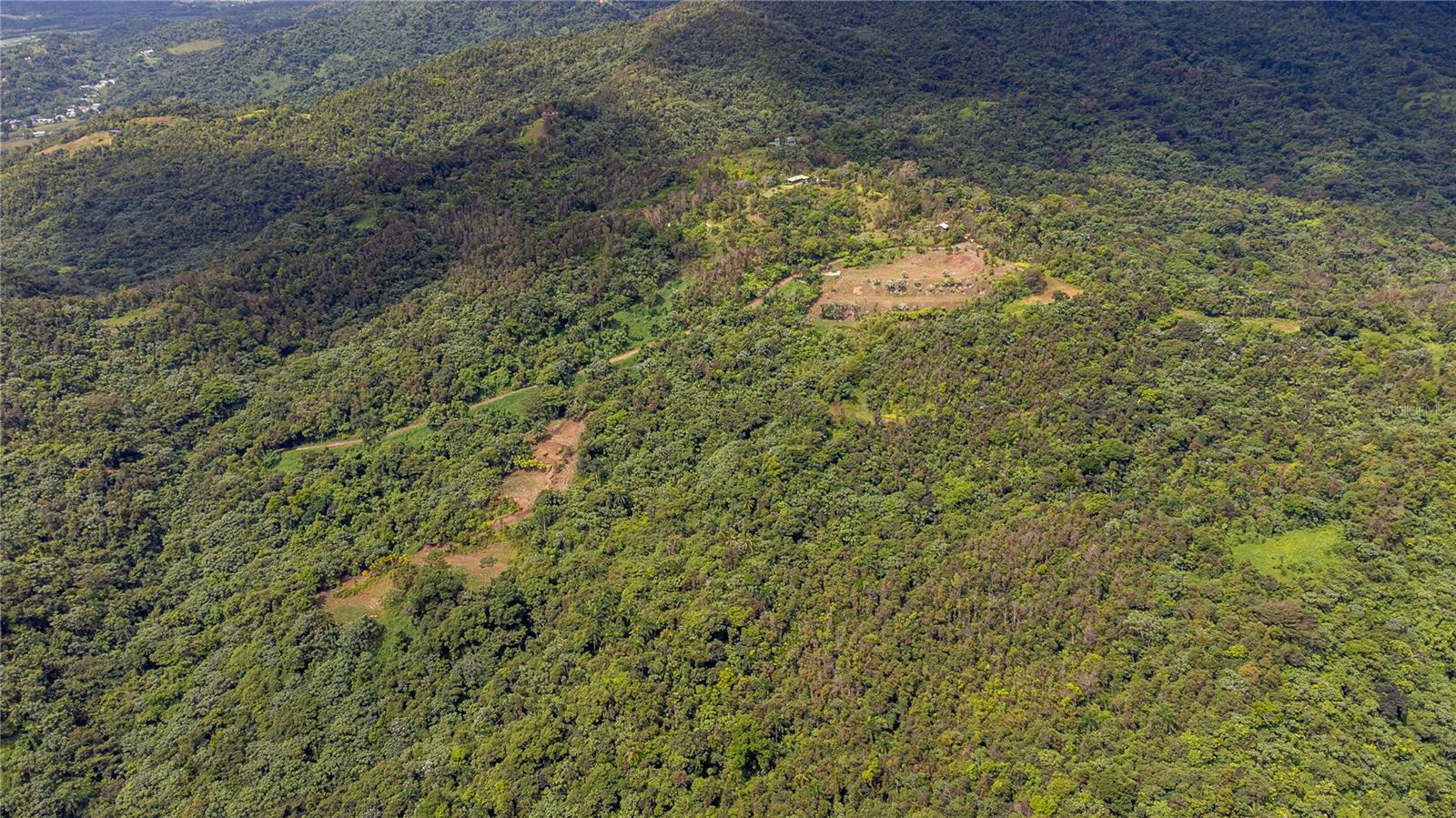 Naranjo Ward Int. Pr 984 Property Photo 17