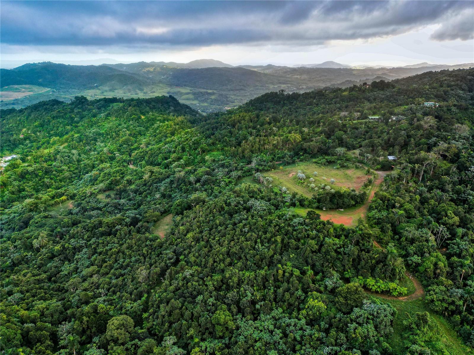 Naranjo Ward Int. Pr 984 Property Photo 21