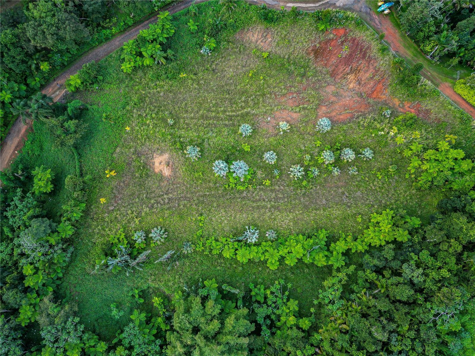 Naranjo Ward Int. Pr 984 Property Photo 25