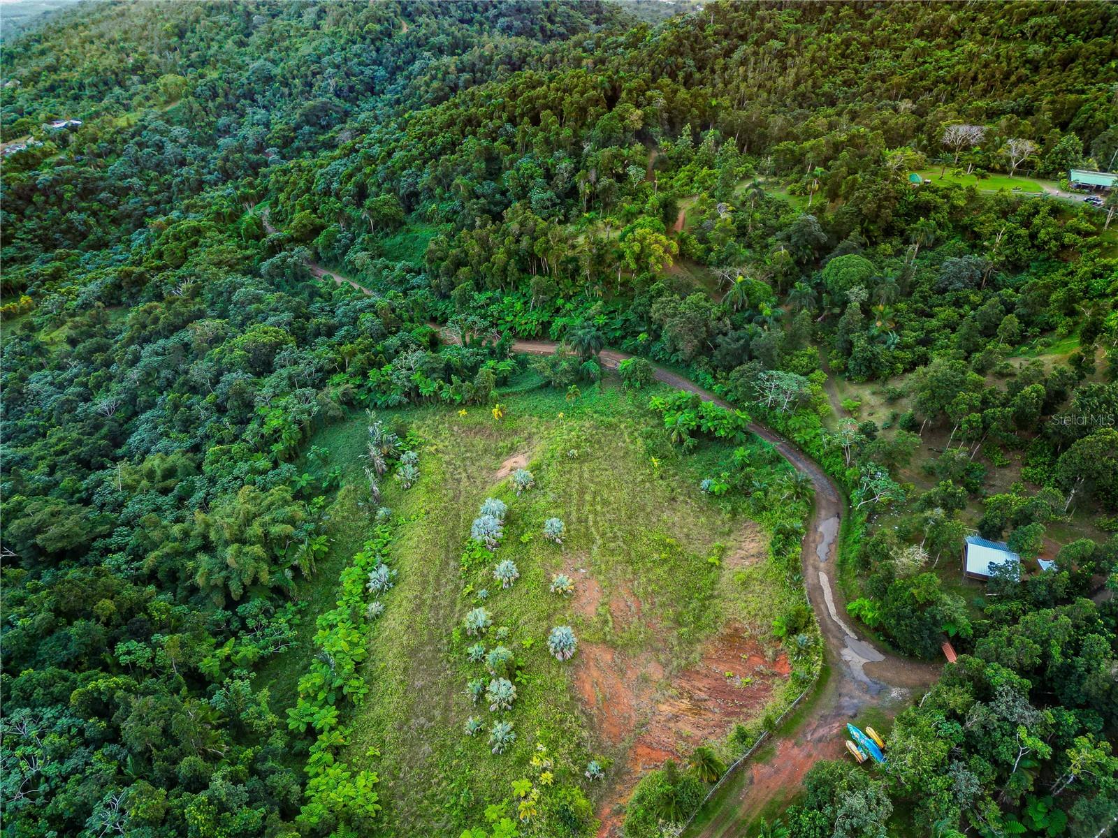 Naranjo Ward Int. Pr 984 Property Photo 26