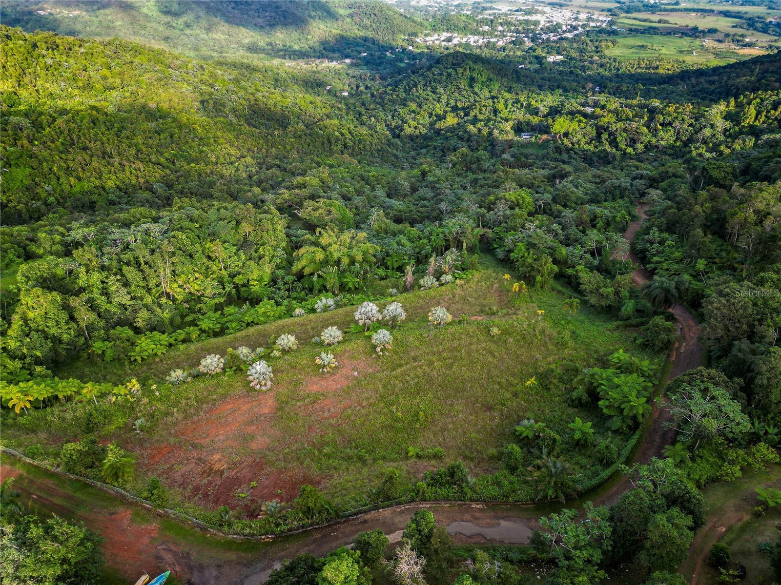 Naranjo Ward Int. Pr 984 Property Photo 35