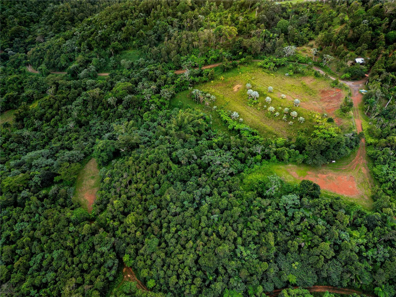 Naranjo Ward Int. Pr 984 Property Photo 37