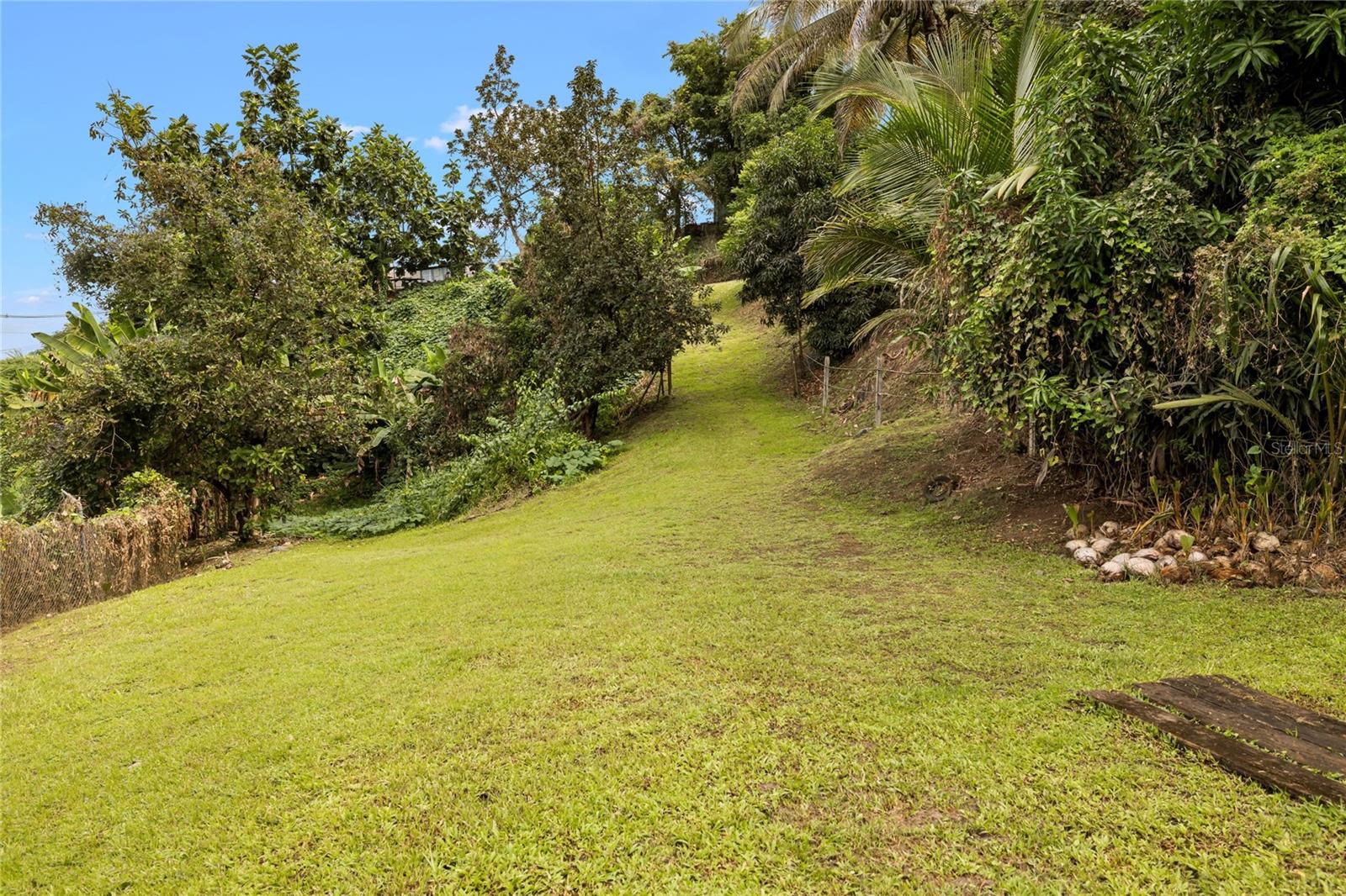 Property Photo 16