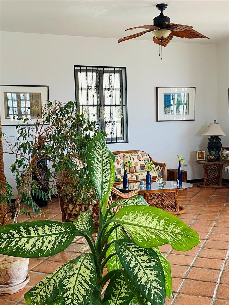31 Caribbean View (la Parguera) Property Photo 3